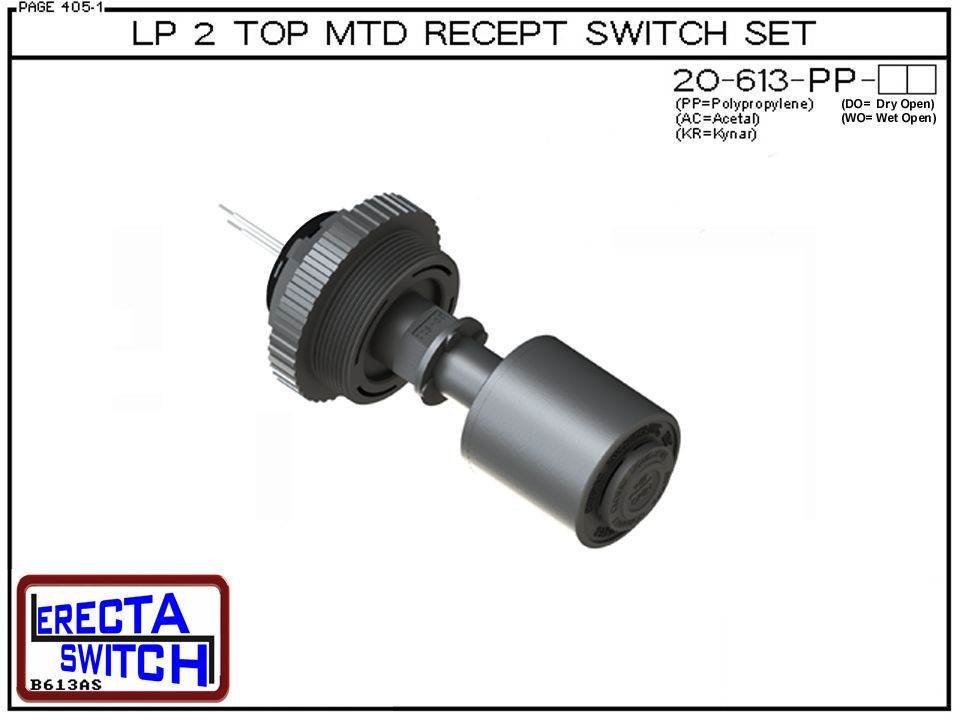 20-613-WO-PP Liquid Level Switch - Image 2