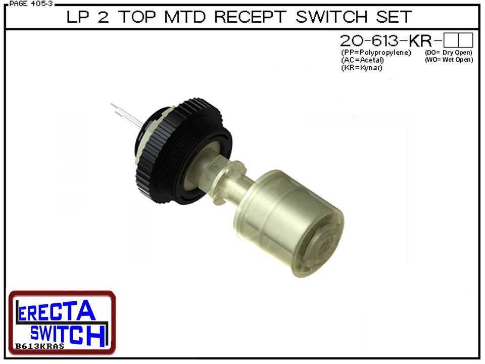 20-613-DO-KR Liquid Level Switch - Image 2